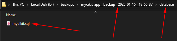 Database file in the database directory